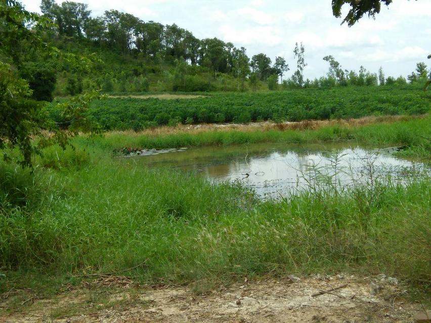 ขออนุญาตครับขายที่ดิน ภดส.11 จำนวน 500กว่าไร่ 2