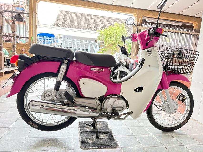 Super Cub รถบ้านแท้ ผู้ญใช้ สภาพพร้อมใช้ สีเดิมโรงงาน เอกสารครบ ไม่เคยล้ม เครื่องเดิม ศูนย์ดี วิ่ง10000 กลางปี61 6