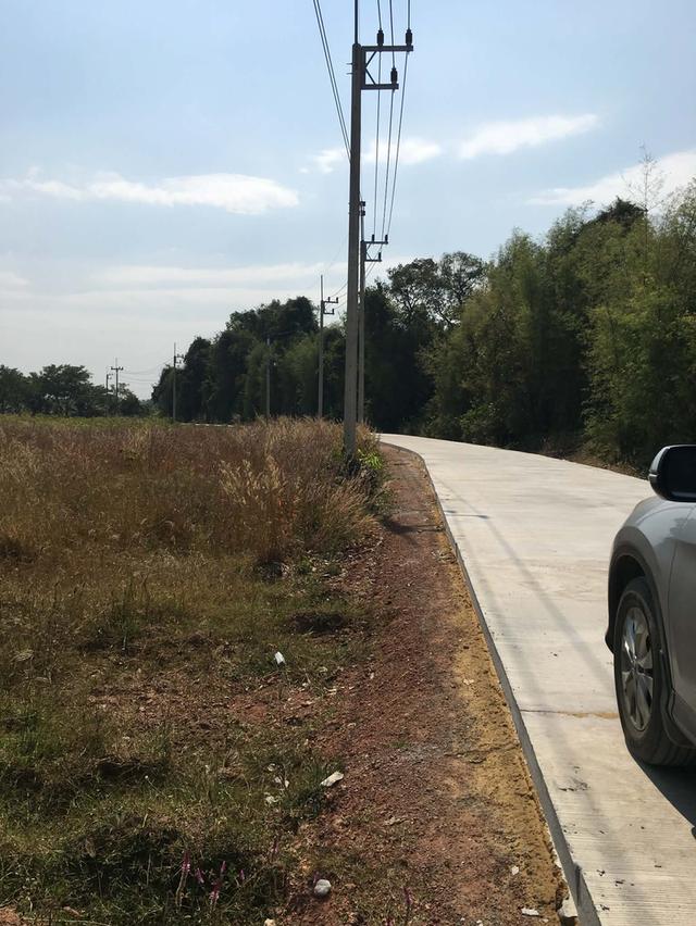 ขายที่ดินหัวหว้าติดถนนคอนกรีต 1 ไร่ เหมาะทำสวน ใกล้ถนนสี่เลนเส้น3070-2กม. อ.ศรีมหาโพธิ ปราจีนบุรี 6