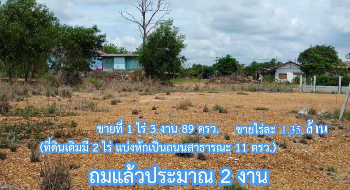 ขายที่ถมแล้ว ใกล้โรงพักพนม ผังสีส้ม 2 ไร่ ต.ท่าถ่าน อ.พนมสารคาม จ.ฉะเชิงเทรา