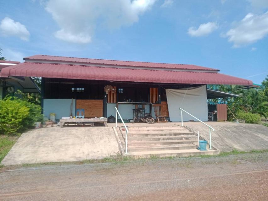 ที่ดินติดแม่น้ำปราจีนฯ พร้อมรีสอร์ท คาเฟ่ ร้านอาหาร เนื้อที่ 14 ไร่ 5