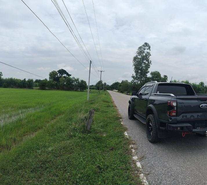 ที่นาจังหวัดร้อยเอ็ด อำเภอสุวรรณภูมิ ราคาต่อรองได้ 1