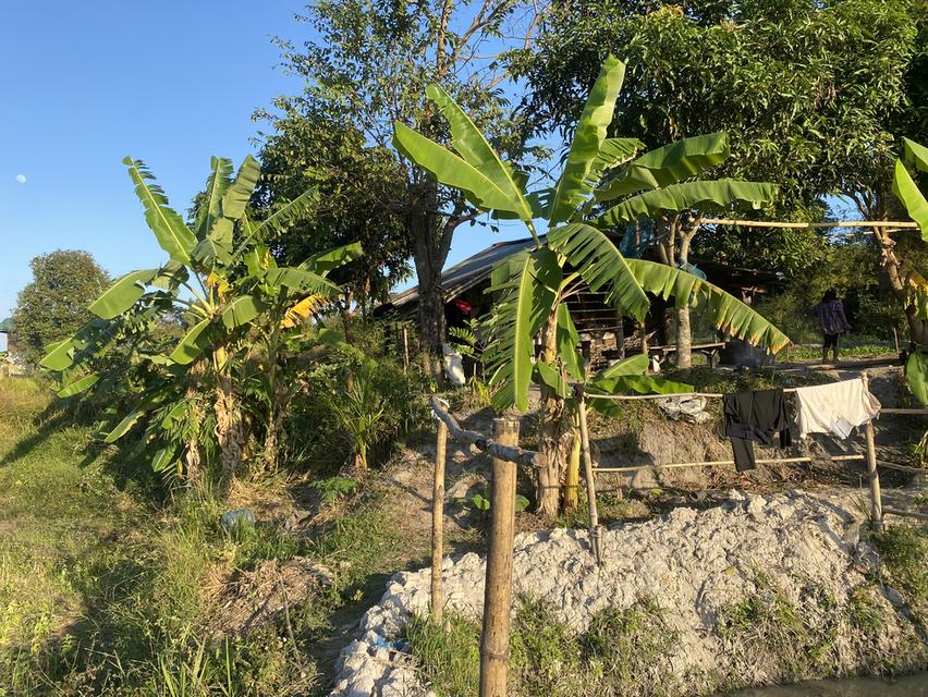 ที่ดิน11ไร่อยู่ถนน4เลนตัดใหม่กาฬสินธุ์-มุกดาหาร 5