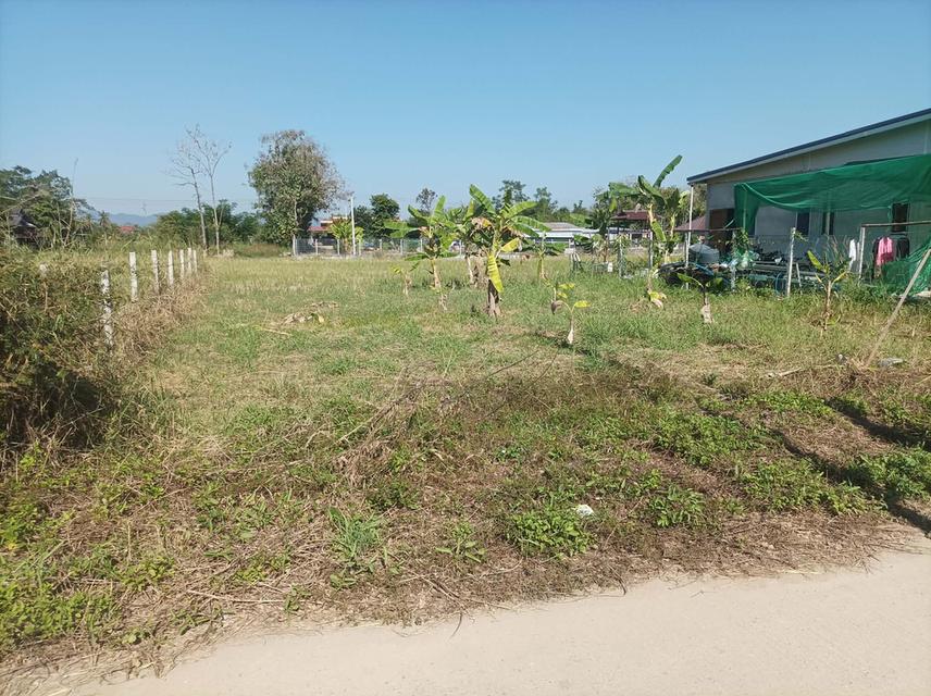 ขายที่ดิน 78ตร.ว. ต.สง่าบ้าน อ.ดอยสะเก็ด จ.เชียงใหม่ 4