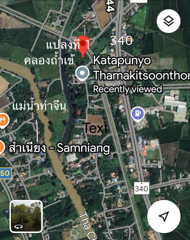 ทึดิน 4 ไร่ ทีสวย ไม้ใหญ่ยางนา 80++ ตำบลปากน้ำ เดิมบางนางบวช สุพรรณบุรี 1