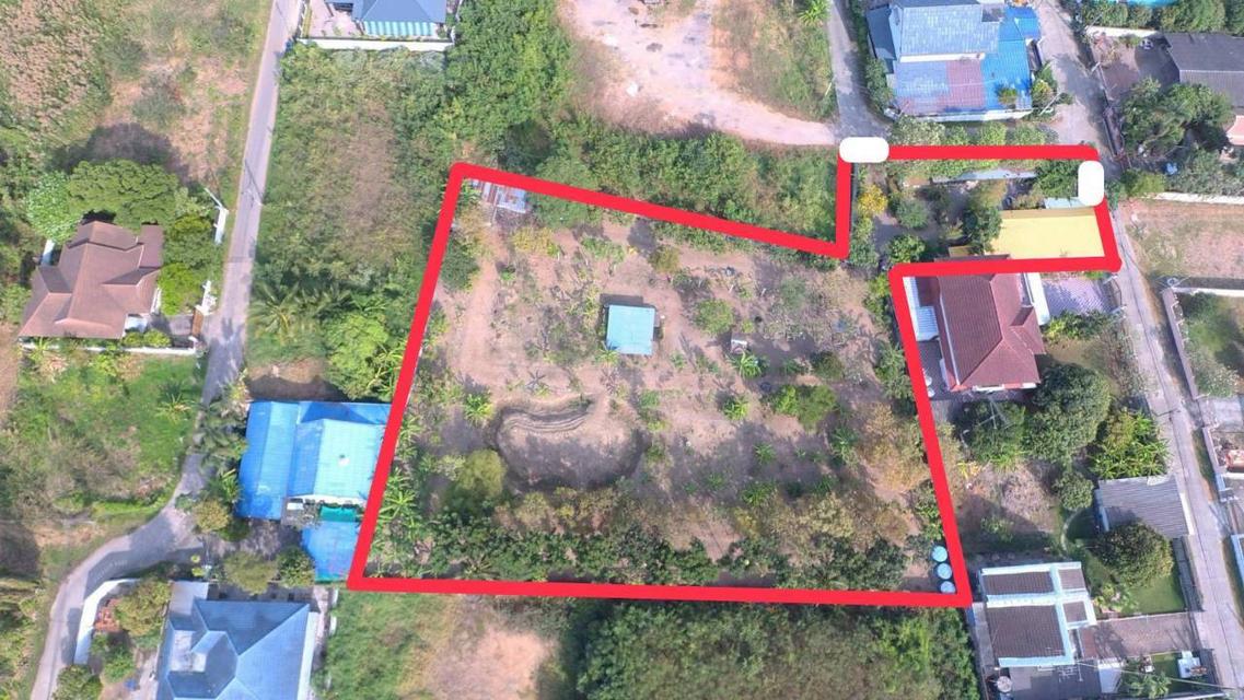 ขายที่ดินยกแปลงถมแล้ว 2-0-11 ไร่ กลางหมู่บ้านจราจรพัฒนา เขาแก่นจันทน์ ซอย 9 ใกล้ตลาดศรีเมือง พร้อมโฉนด ดอนตะโก ราชบุรี 1