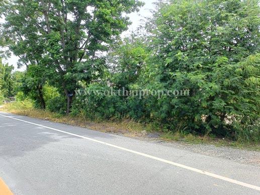 ที่ดินติดถนน ต.นาวังหิน อ.พนัสนิคม จ.ชลบุรี 11