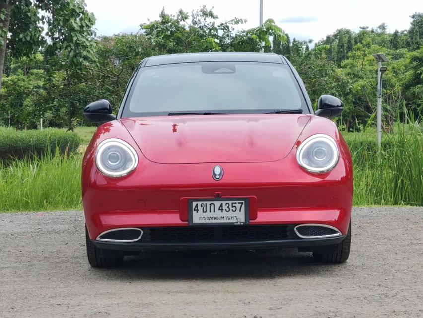 ðĨORA GOOD CAT 500 ULTRA 2022ðĨ