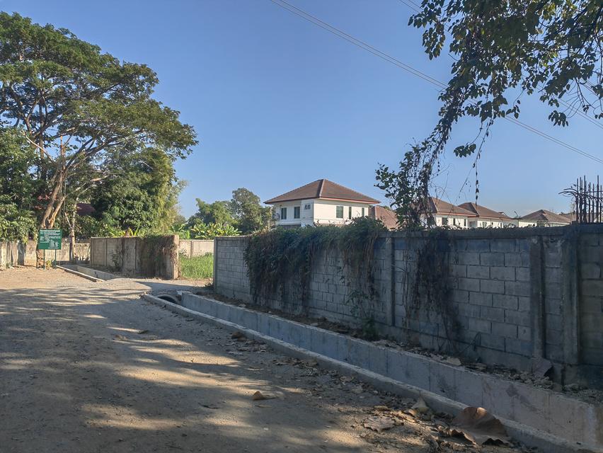 ที่ดินเปล่าเชียงใหม่ 2ไร่ 2งาน 5 ตรว. ขายต่ำกว่าราคาประเมิน 6