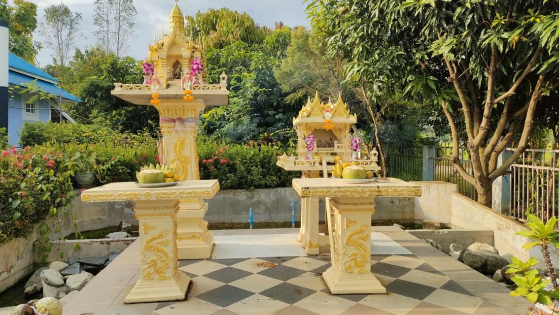 Sale Farm land and smaller guest house ขายสวนและกิจการ วิวภูเขา เพชรบูรณ์ 11