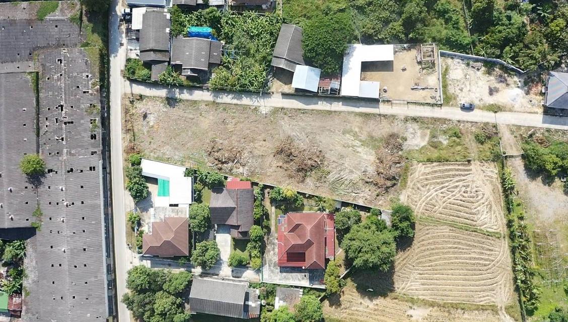 ที่ดินบ้านวังหม้อ เจดีย์ซาว ลำปาง  5