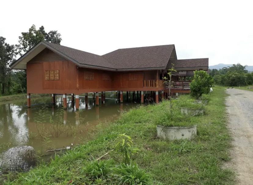 ขายที่ดินพร้อมบ้านและสวนลำไย 14 ไร่ ทำเลดีมาก อ.เมือง จ.ลำพุน 6