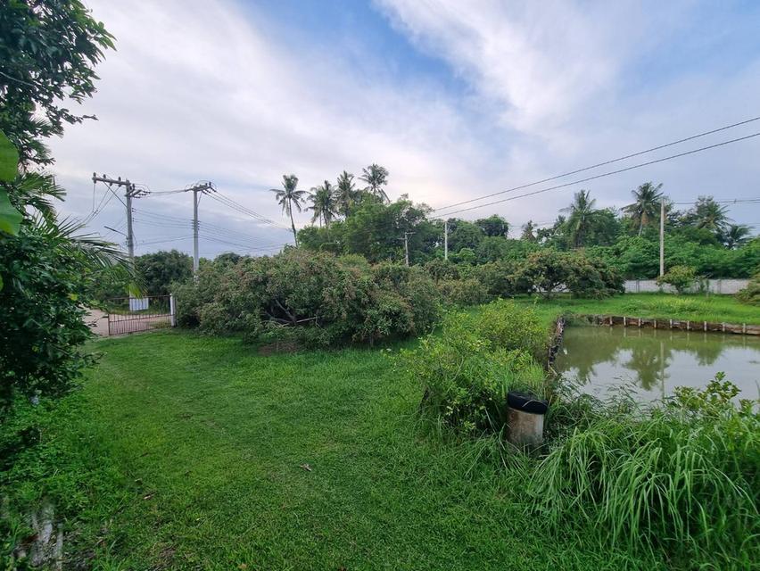 ขายที่ดิน 635 ตรว. พร้อมบ้านสวน และบ่อปลา 7