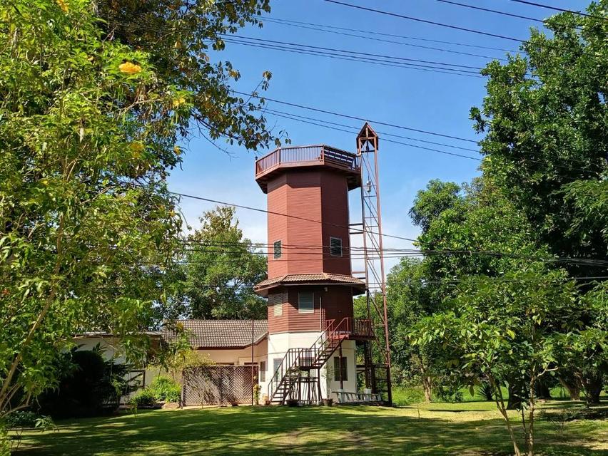 ให้เช่า ที่ดิน ทำเลมาแรงบ้านพักตากอากาศ 209 ตร.วา ติดคลองมวกเหล็ก ใกล้บ้านพักเดลี่โฮม ปากช่อง. 5