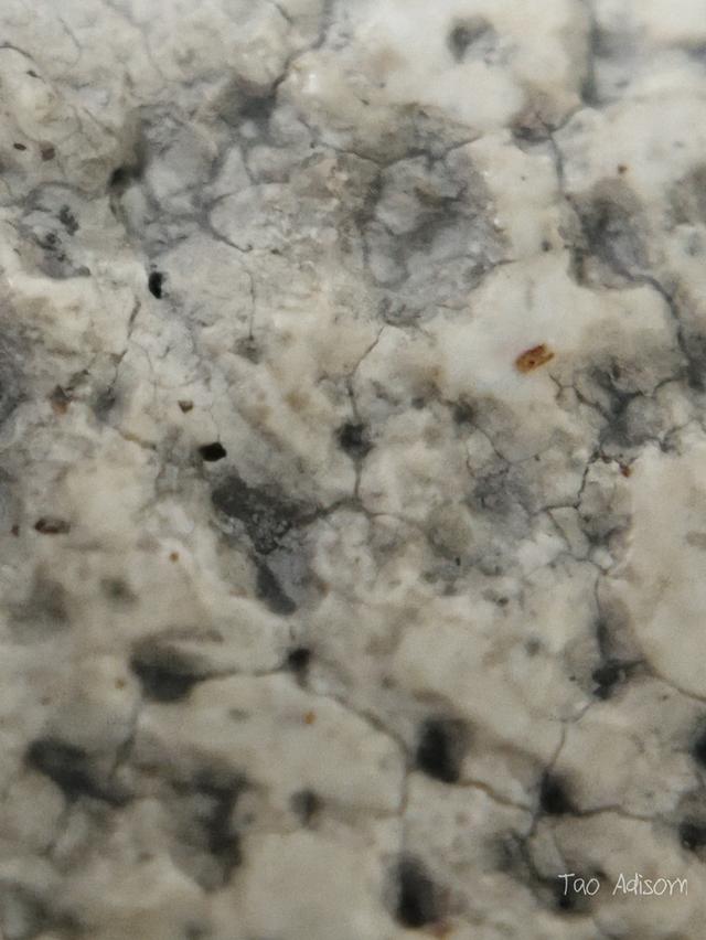 พระสมเด็จวัดระฆังโฆสิตาราม 16