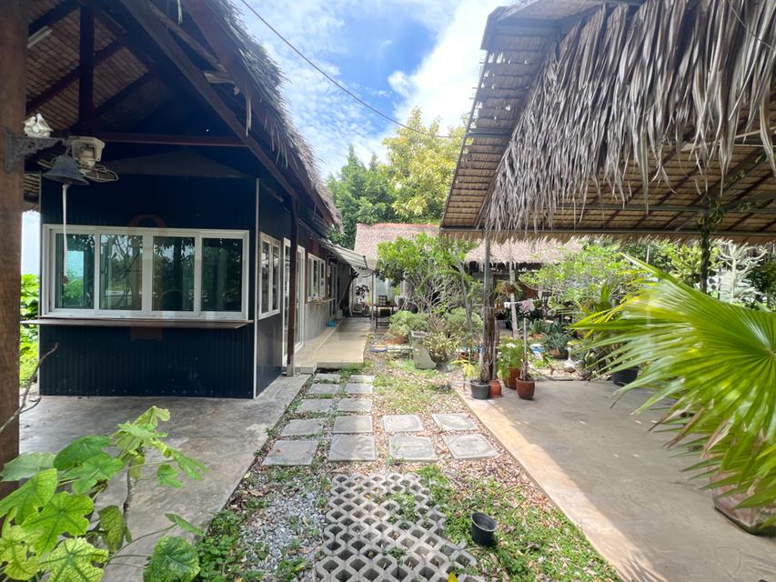 ขาย ที่ดินจัดสรร ลำลูกกา คลอง16 องครักษ์ 6