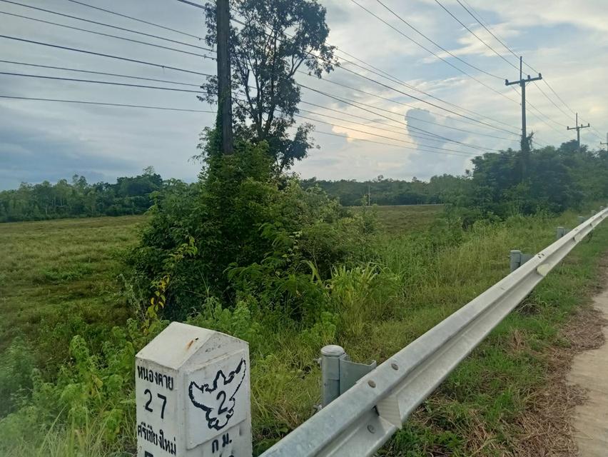 ที่ดิน สวยๆ ไร่ละไม่ถึง2ล้านบาท ติดถนนดำ 7