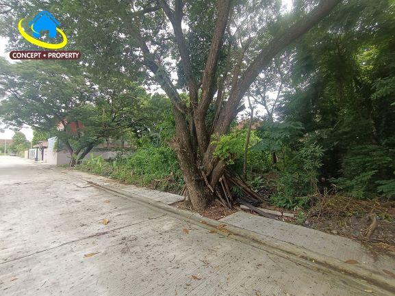 ขายที่ดิน ซอยรามคำแหง 118 แยก 46 เนื้อที่ 113 ตารางวา สะพานสูง บางกะปิ 1