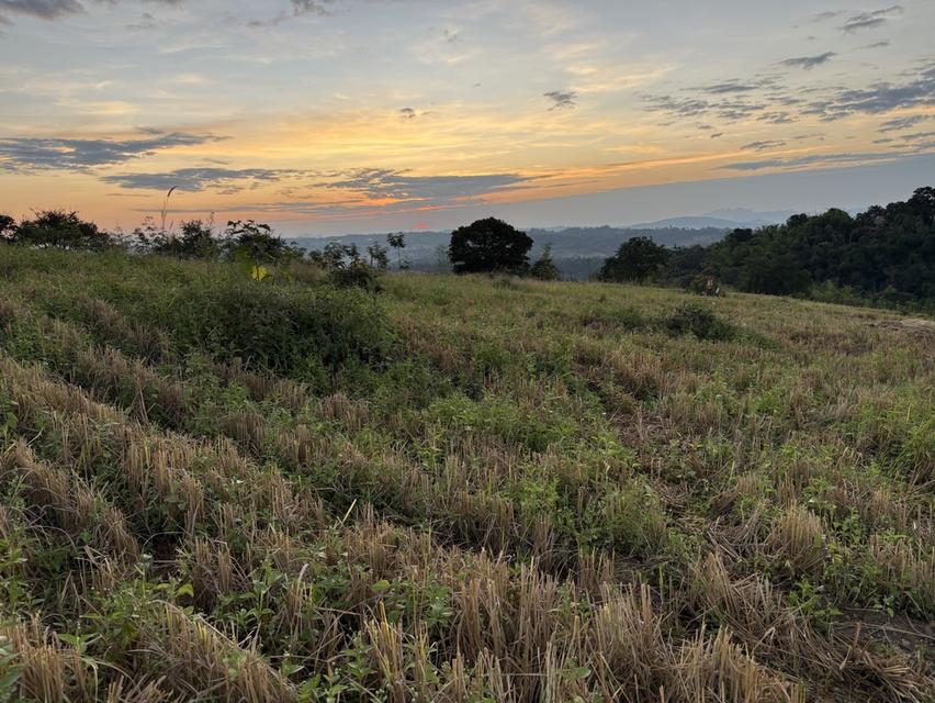 ⛰️ จุดที่สูงที่สุดและสวยที่สุด อ.น้ำหนาว จ.เพชรบูรณ์ 30ไร่ 6 ล้านบาท ห่างจากถนนเส้นหลัก(2216) 🛣️ แค่ 600 เมตร ห่างตัวเมือง1กิโล 8