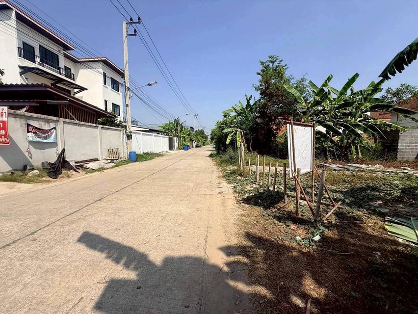 ขายถูกที่ดินลาดสวาย 124 ตรว ติดถนนคอรกรีตสาธารณะ ถมแล้ว ซ.ร่วมสุข 3 อ.ลำลูกกา จ.ปทุมธานี รูปที่ 6