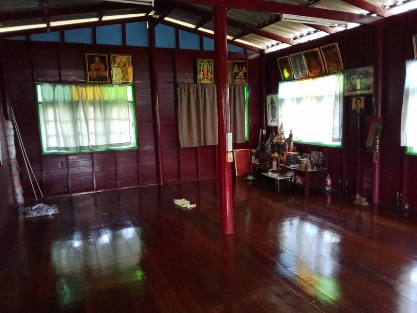บ้านพร้อมที่ดิน 13