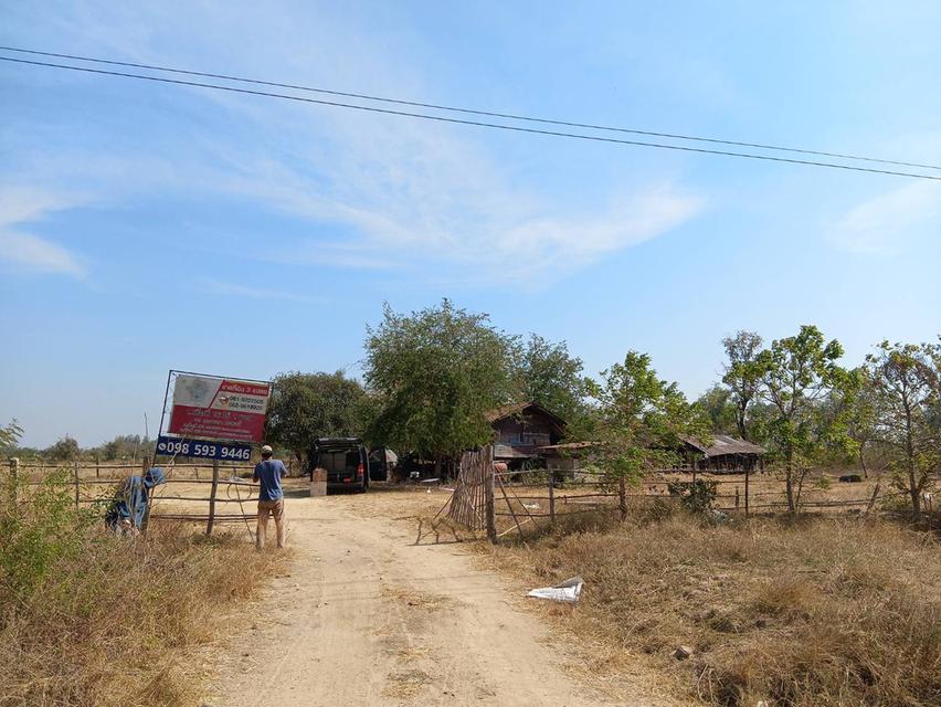 ที่ดินจังหวัดนครราชสีมา 1