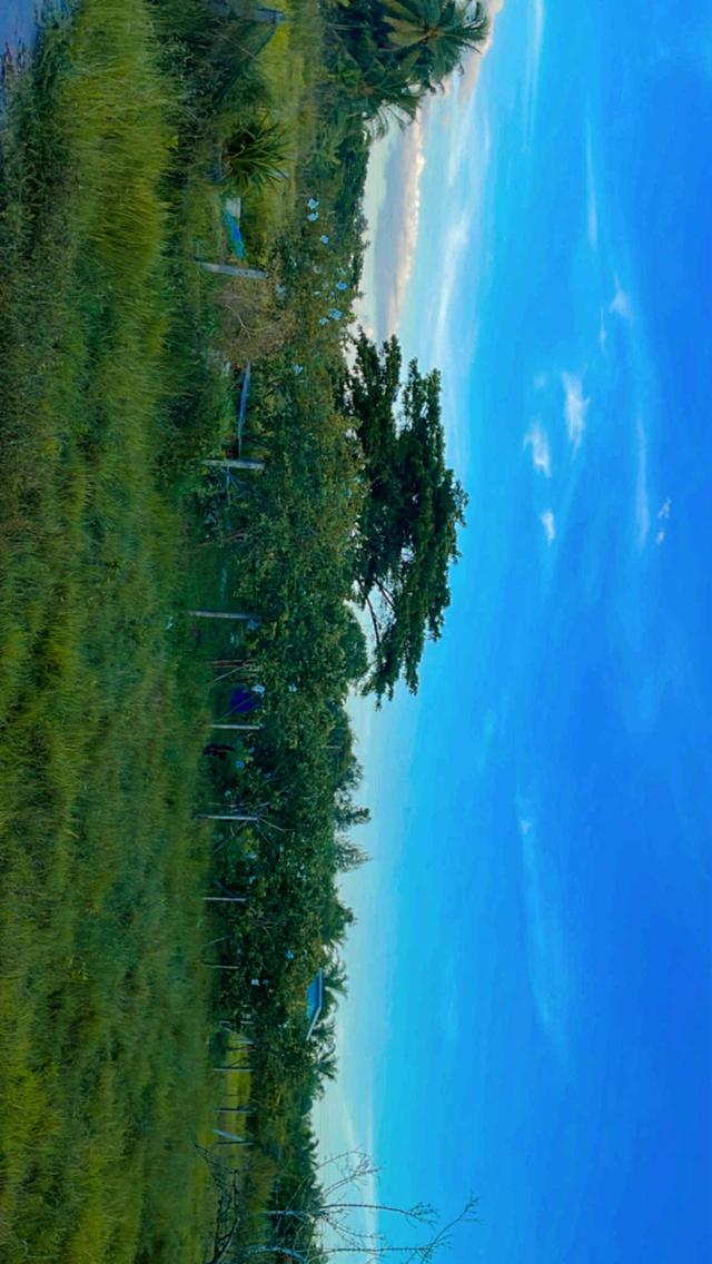 ขายที่ดิน 14
