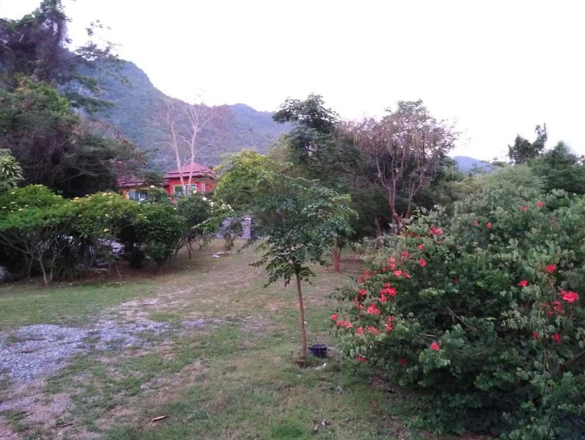 ขายที่ดินพร้อมบ้านพักตากอากาศ วิวภูเขาโอบล้อมเขาใหญ่-ปากช่อง. 3ห้องนอน 3 ห้องน้ำ แอร์ 2ห้อง1 ไร่ 94.1 ตารางวา คุณศิริพงษ์ 083-600-8600 / 0655941610 6