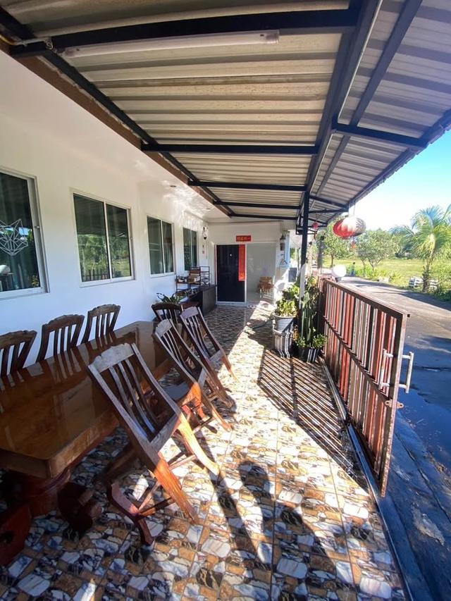 🏡 บ้านเดี่ยวชั้นเดียวทำเลแม่โจ้ ใกล้ตลาด มหาวิทยาลัยแม่โจ้ โรงพยาบาล #สันทราย ราคาเพียง 10,000 บาท/เดือน ✨ 清迈独栋平层别墅出租 4 卧室 2 卫生间 – 租金 10,000 泰铢/月 ✨ 15