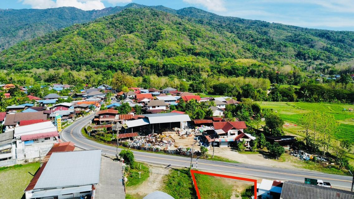 ขายที่ดิน ปัว น่าน 3 งาน 29.1 ตร.ว. ราคา 1.5 ล้าน 3