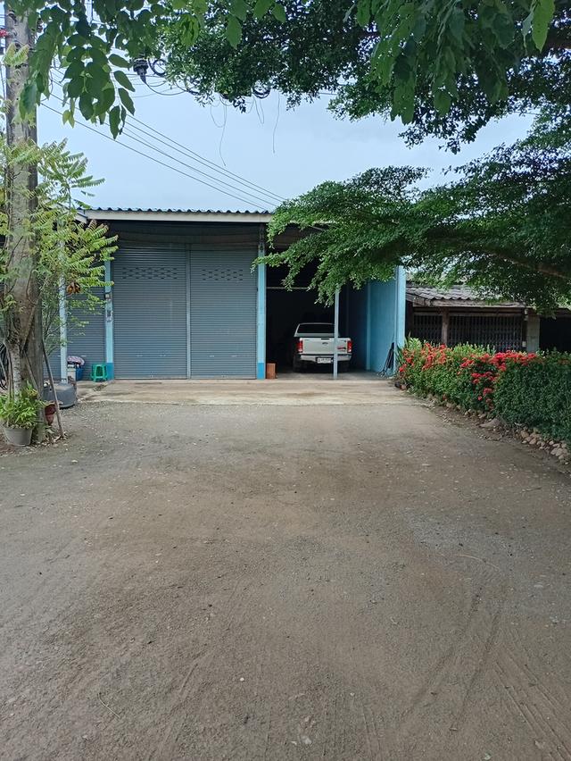 ตึกแถวชั้นเดียว ในอำเภอทองผาภูมิ 14