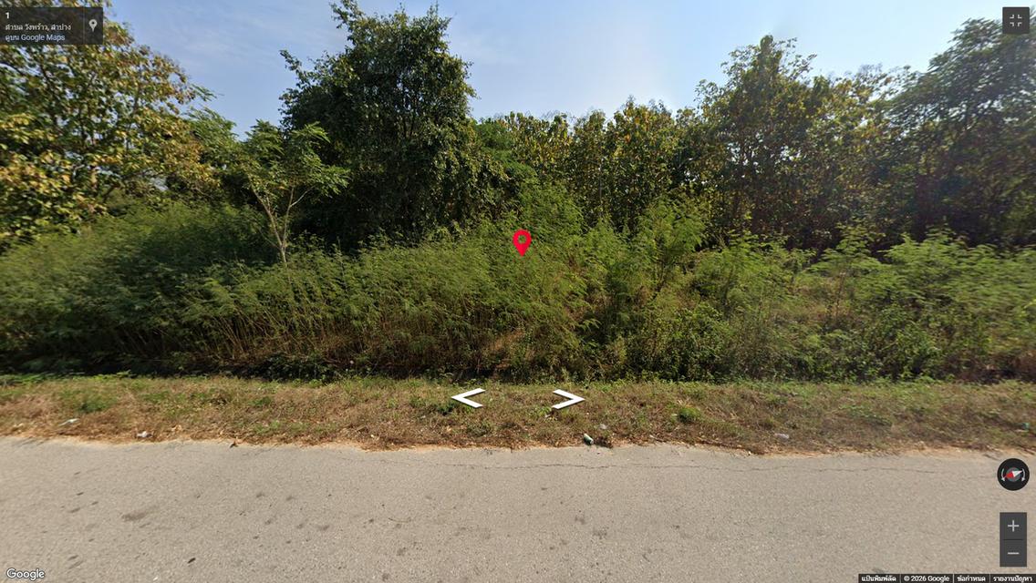 ที่ดิน + ต้นสัก อายุไม่ต่ำกว่า 15-20 ปี ติดถนนพหลโยธิน อ.เกาะคา จ.ลำปาง 3