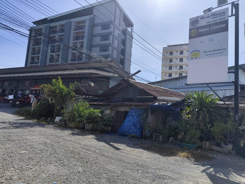 ขายที่ดินเปล่า ใกล้ มหาลัย เกษตรศาสตร์ ใกล้ หอพัก นกฮูก และบ้านพักอาศัย ทำเลดีเงียบสงบ อากาศดี 18