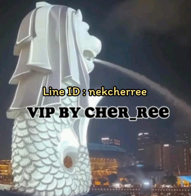 Vipสิงคโปร์ งานดี เงินปัง 2