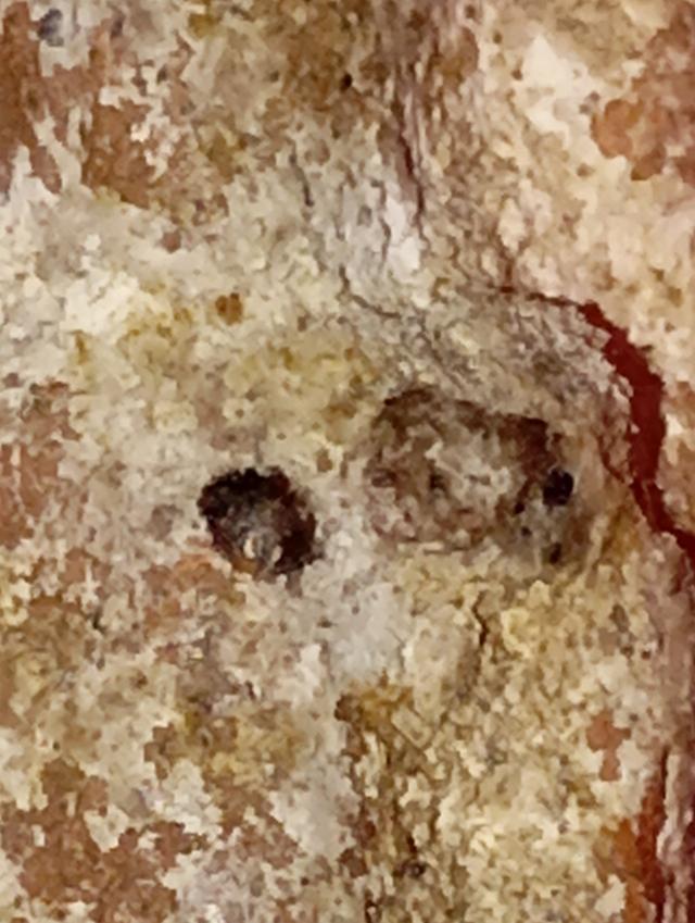 พระกรุนาดูนพิมพ์ปางนาคปรกกลาง 3 ชั้น ฐานใหญ่ องค์ที่ 3 รูปที่ 3