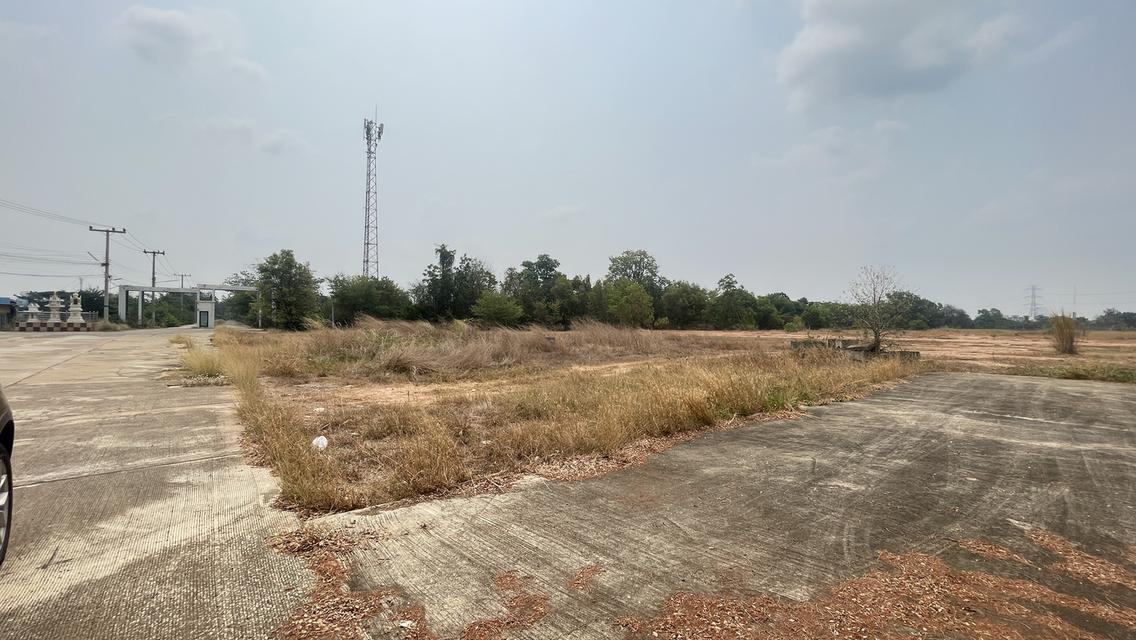 ขายที่ดินในหมู่บ้านแม่ธรณีทอง อินโดจีน จังหวัดพิษณุโลก 3