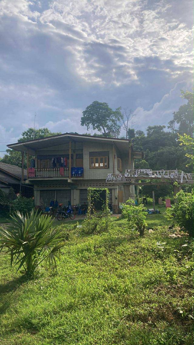 ขายบ้านพร้อมที่ดิน  เนื้อที่ 2ไร่ 2 งาน 74 ตรว ค่ะ 🏠 🏡บ้านห้วยไร่ อำเภอเด่นชัย จังหวัดแพร่ 6