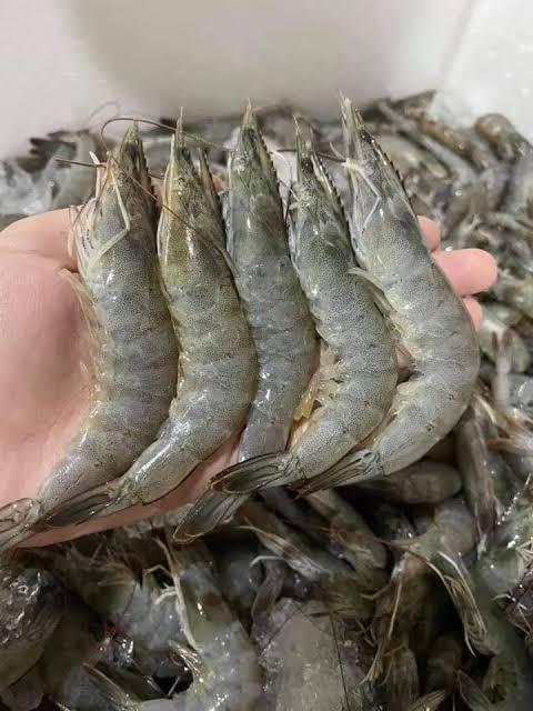 ขายกุ้งขาว ตัวแน่น อร่อย 2