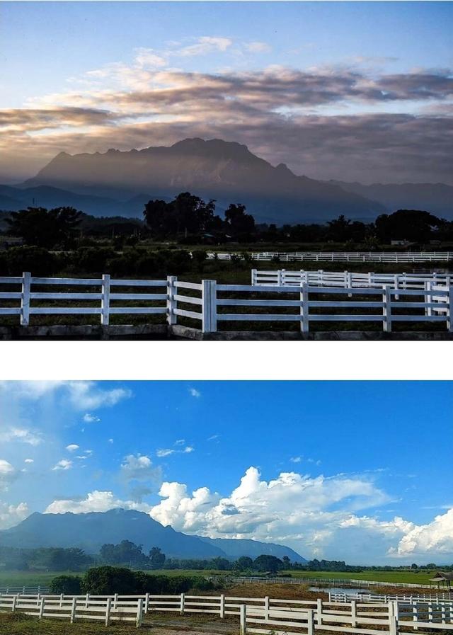 ขายที่ดินอ.เชียงดาว​ จ.เชียงใหม่ 8