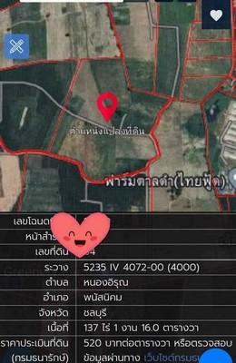 ขายที่ดินสีเหลืองหนองอิรุณ พนัสนิคม ชลบุรี (เนื้อที่ 137 ไร่ ขายไร่ละ 6 แสน รวมเป็นเงิน 82,200,000 ล้านบาท)  หนองอิรุณ พนัสนิคม ชลบุรี 2