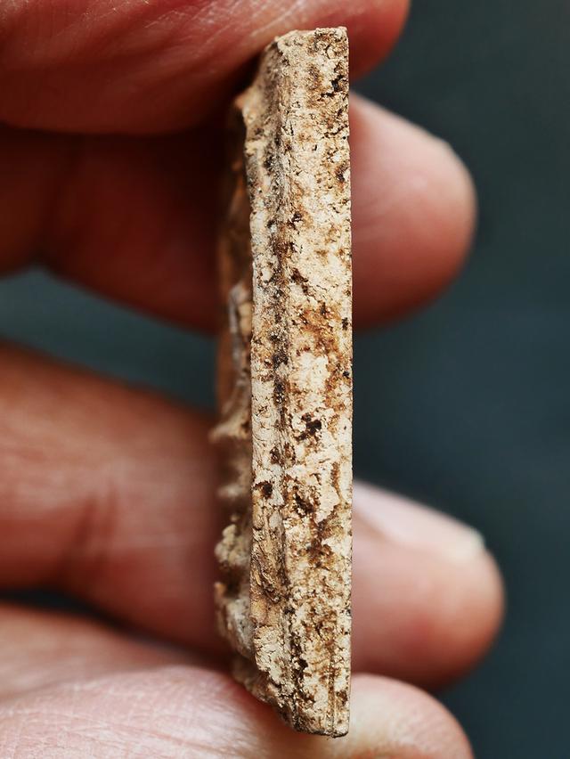 พระสมเด็จบางขุนพรหม กรุใหม่ พิมพ์สังฆาฎิ-ไม่มีหู....เก่า เดิมๆ รูปที่ 10