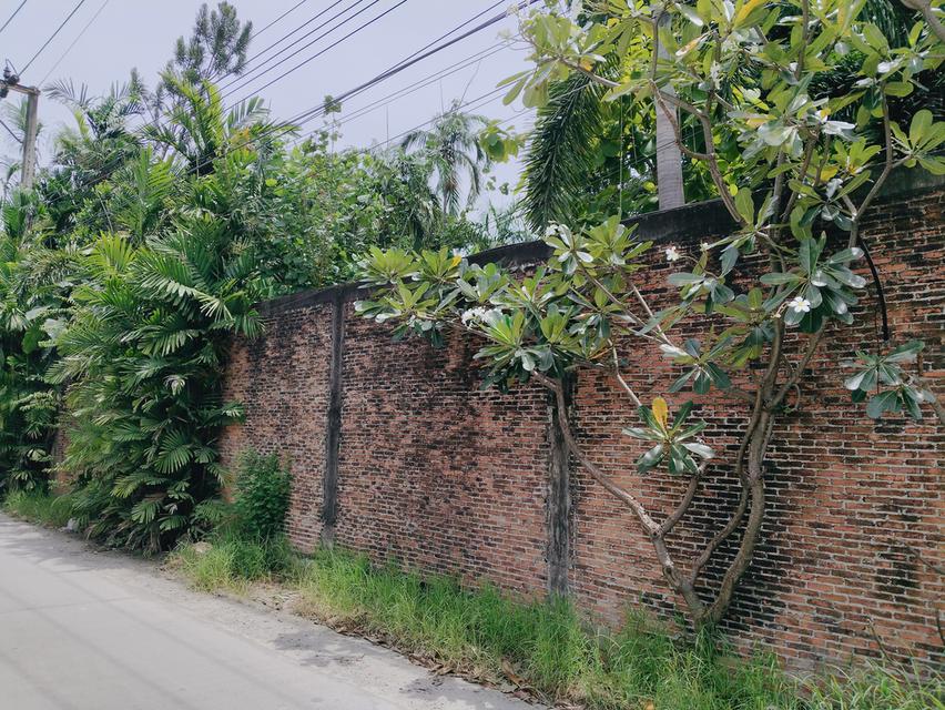 ที่ดิน กรุงเทพกรีฑาซอย 8 แยก 16 1