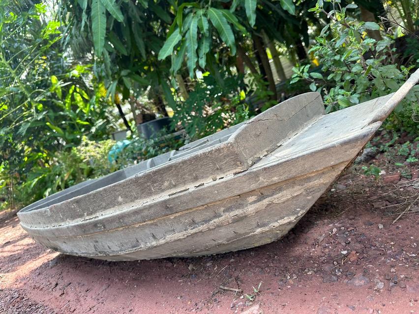 เรือรดน้ำไม้สัก เรือไม้สักเก่า เรือไม้โบราณ เรือการเษตร เรือโบราณ