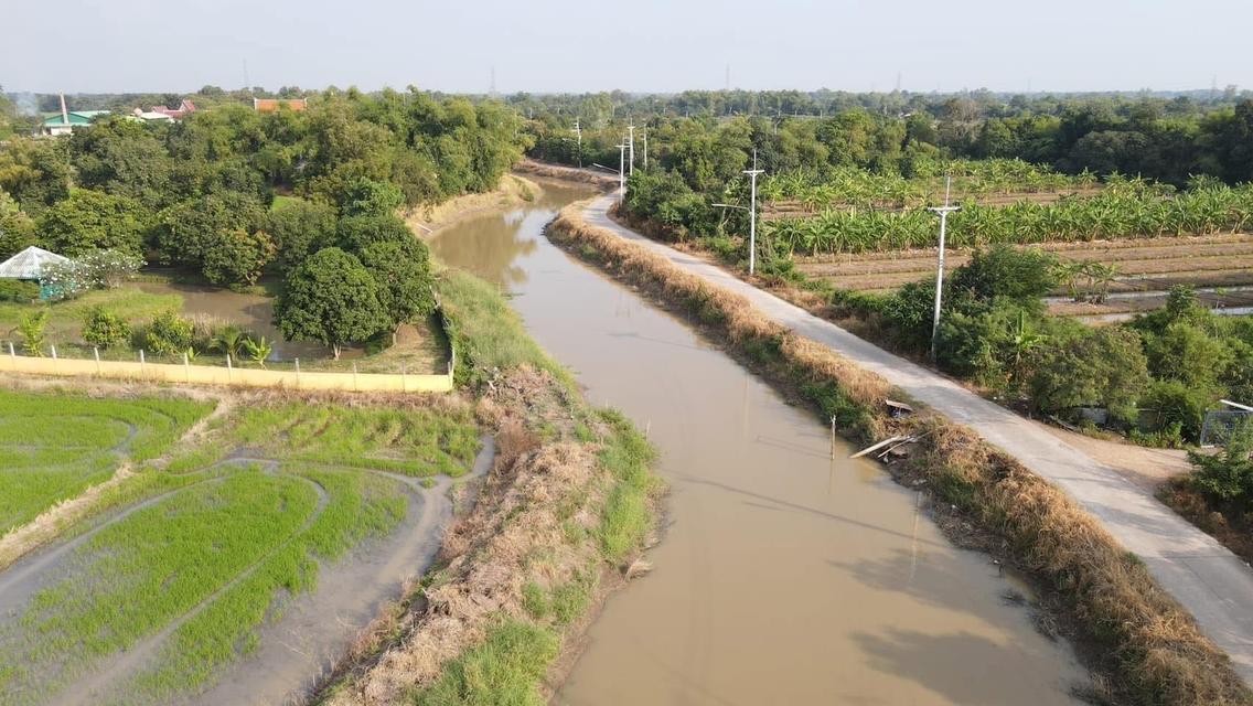 #ที่ดินเชิงเกษตรเหมาะทำบ้านสวนสระบุรี 3