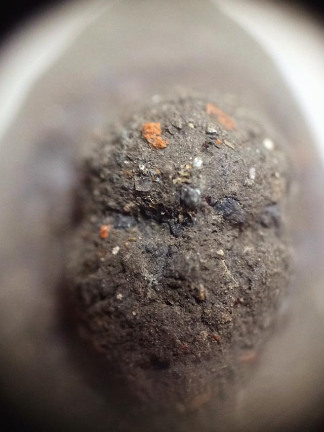 หลวงปู่ทวดเนื้อว่าน 2497