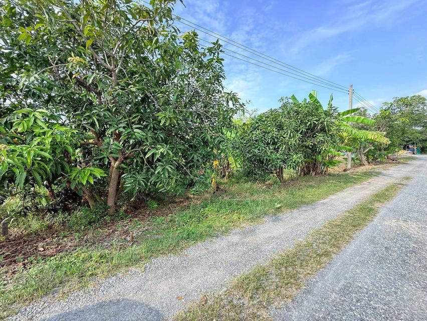 ðĒVāļēāļĒāļāđāļ§āļâžïļāļāļĩāđāļāļīāļāļāļāļāļĢāļēāļāļāļĪāļāļĐāđ 200 āļāļēāļĢāļēāļāļ§āļēð°āļāļīāļāļŦāļĄāļđāđāļāđāļēāļ āļāļāļēāļĻāļīāļĢāļīðŪāļāļāļĒāļāļĨāļāļāļāļ§āļĨāļāļīāļāļĒāđ āļ.āđāļĄāļ·āļāļāļāļāļļāļĄ āļ.āļāļāļļāļĄāļāļēāļāļĩðē 095-879-4465 āļĨ