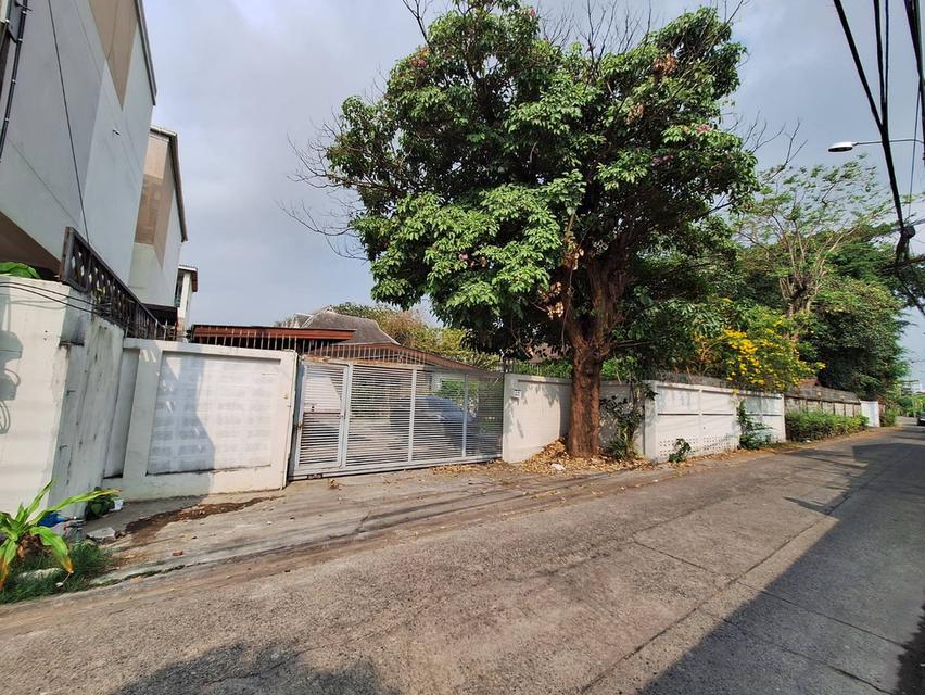 ขายที่ดินแถมบ้านหรือให้เช่า ซ.เสนานิคม 1 ใกล้ปากทาง ขนาด 173 ตารางวา  3