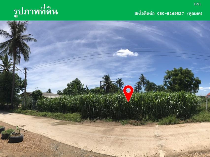 ขายที่ดินหนองลานพระแท่น(น้ำไม่ท่วม) 6