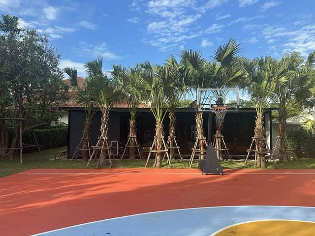 P625 ให้เช่า ขาย ที่ดิน ซอยเอกมัย 22 ขนาด 172 ตารางวา ถนนสุขุมวิท คลองตันเหนือ เขตวัฒนา เหมาะซื้อสร้างบ้าน 6