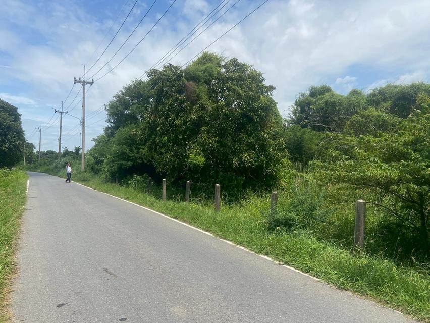 ขายที่ดิน 8 ไร่ อยู่ถนนสายเอเซีย อ. อินทร์บุรี จ. สิงห์บุรี 3